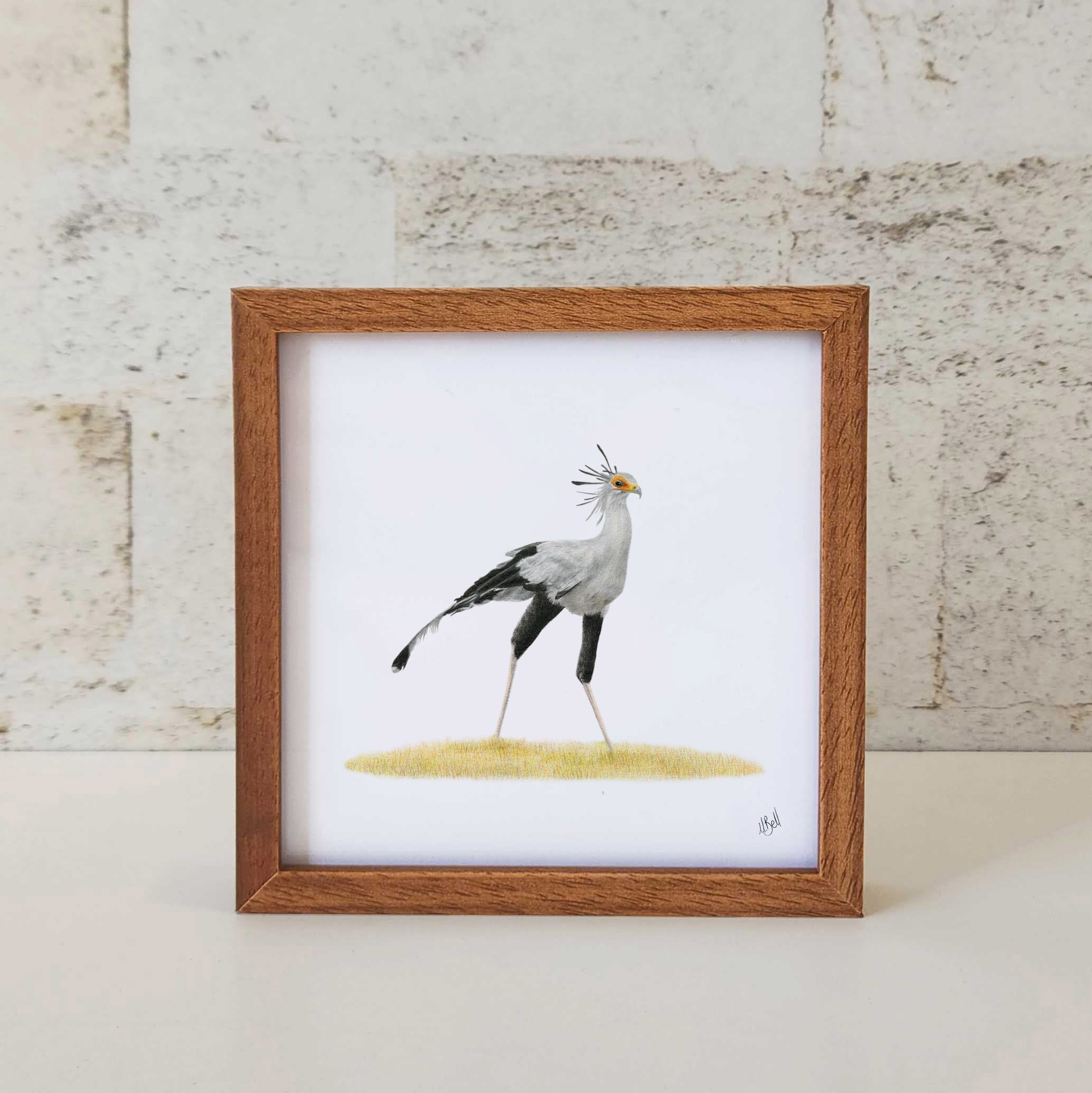 Artwork of a secretary bird in South Africa
