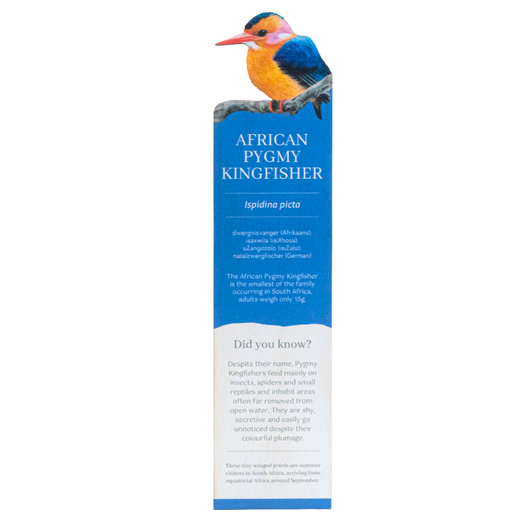 African Pygmy Kingfisher Wooden Bookmark