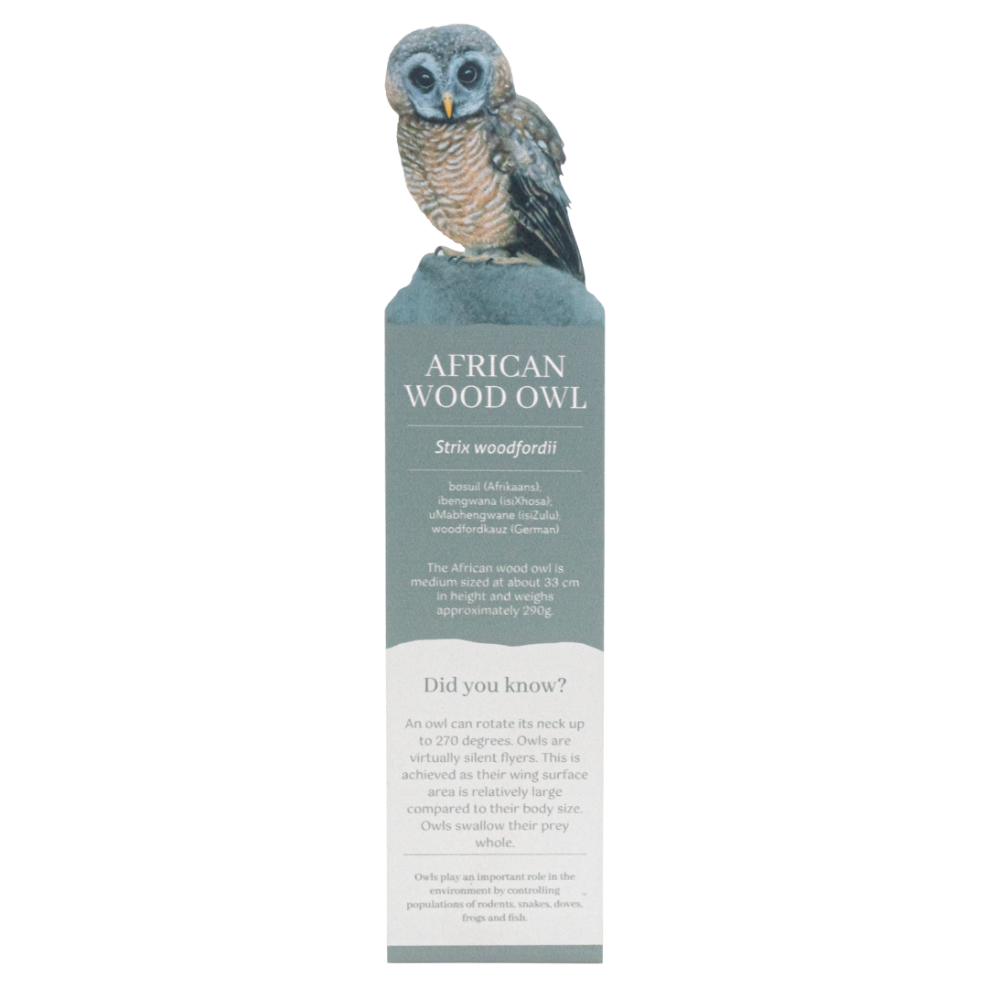 African Wood Owl Wooden Bookmark