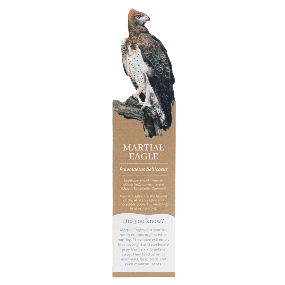 Martial Eagle Wooden Bookmark