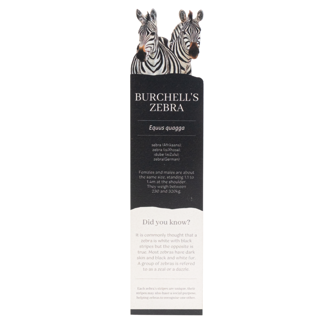 Zebras Wooden Bookmark