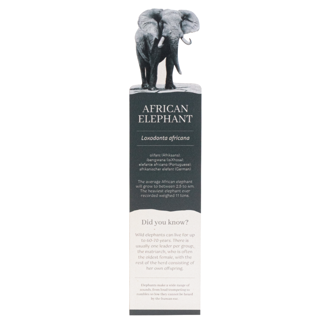 African Elephant Wooden Bookmark