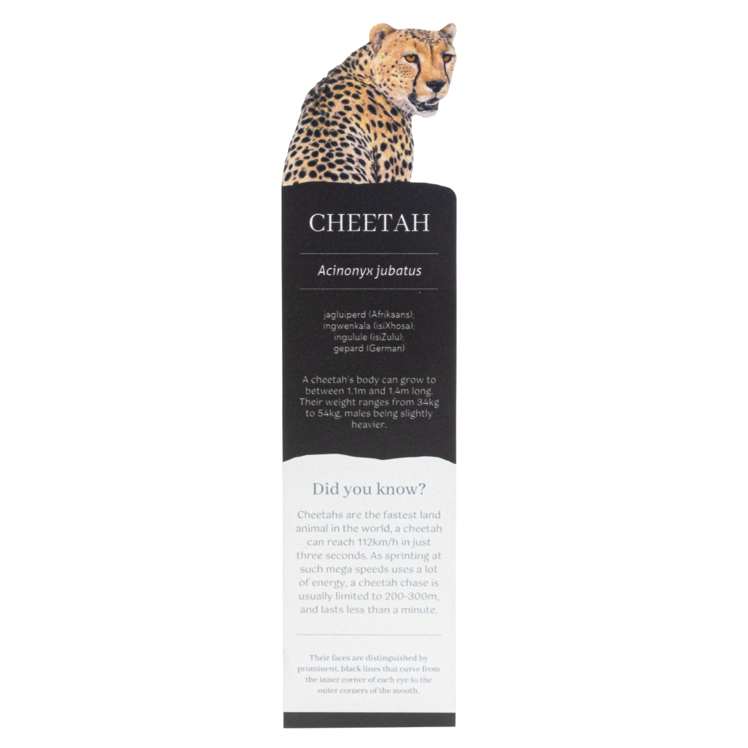 Cheetah Wooden Bookmark