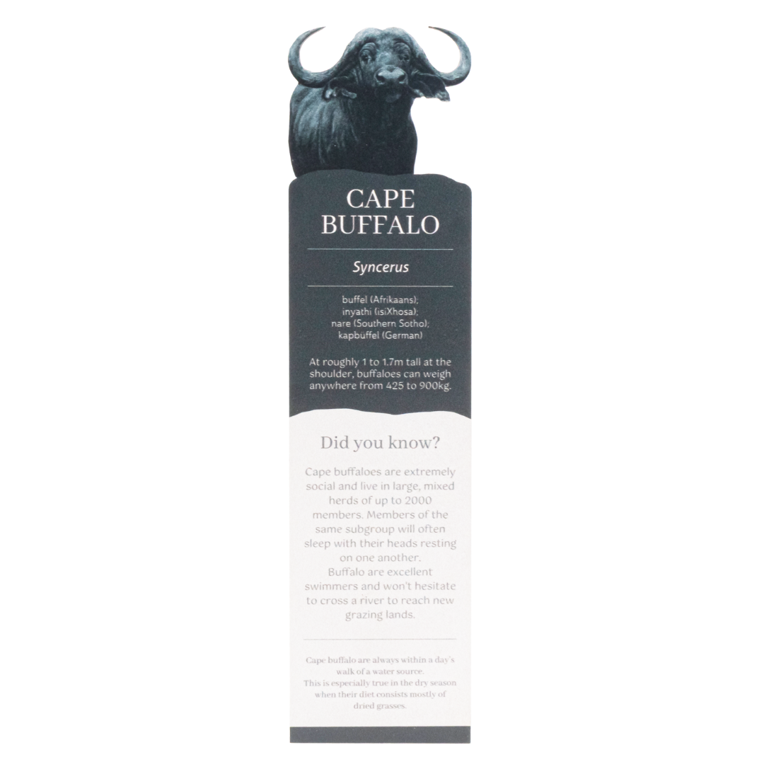 Buffalo Wooden Bookmark