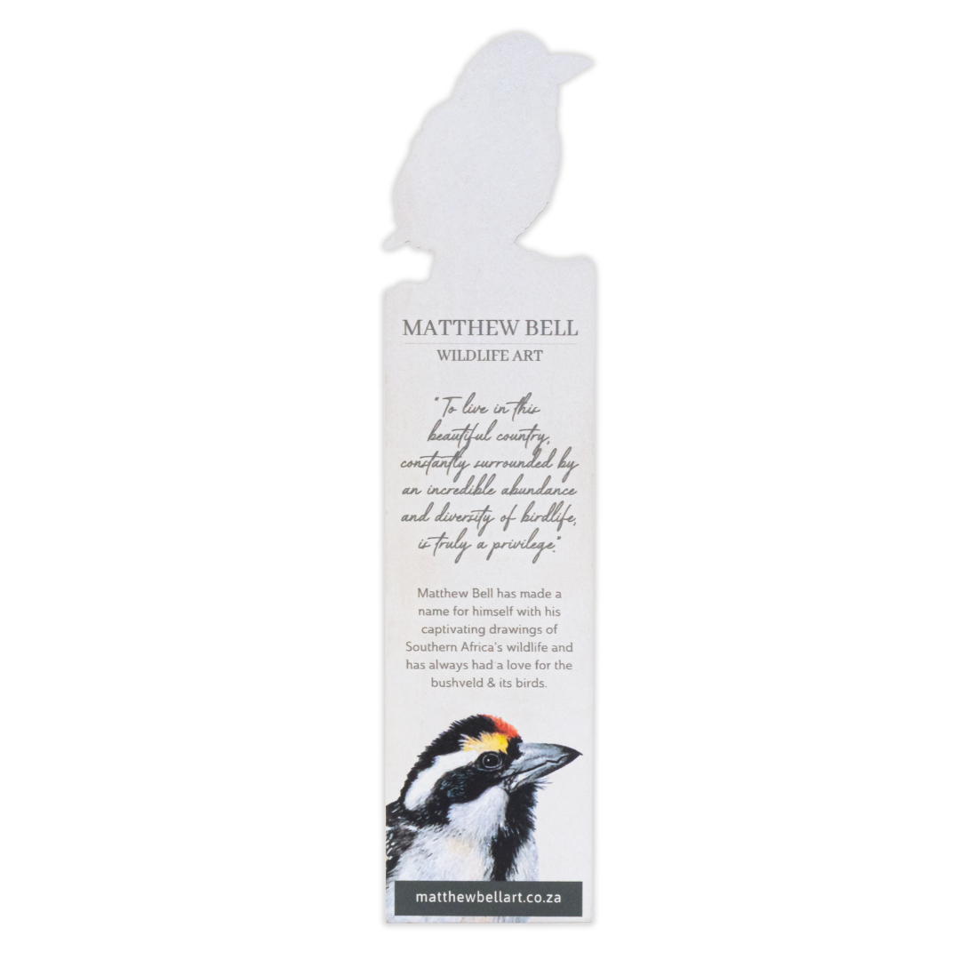 Acacia Pied Barbet Wooden Bookmark