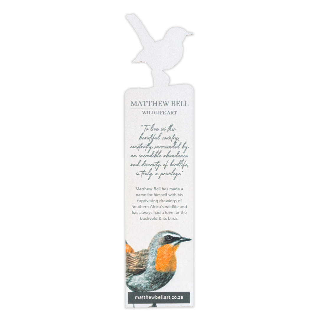 Cape Robin Chat Wooden Bookmark