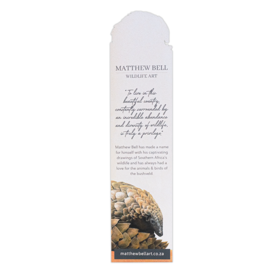 Pangolin Wooden Bookmark