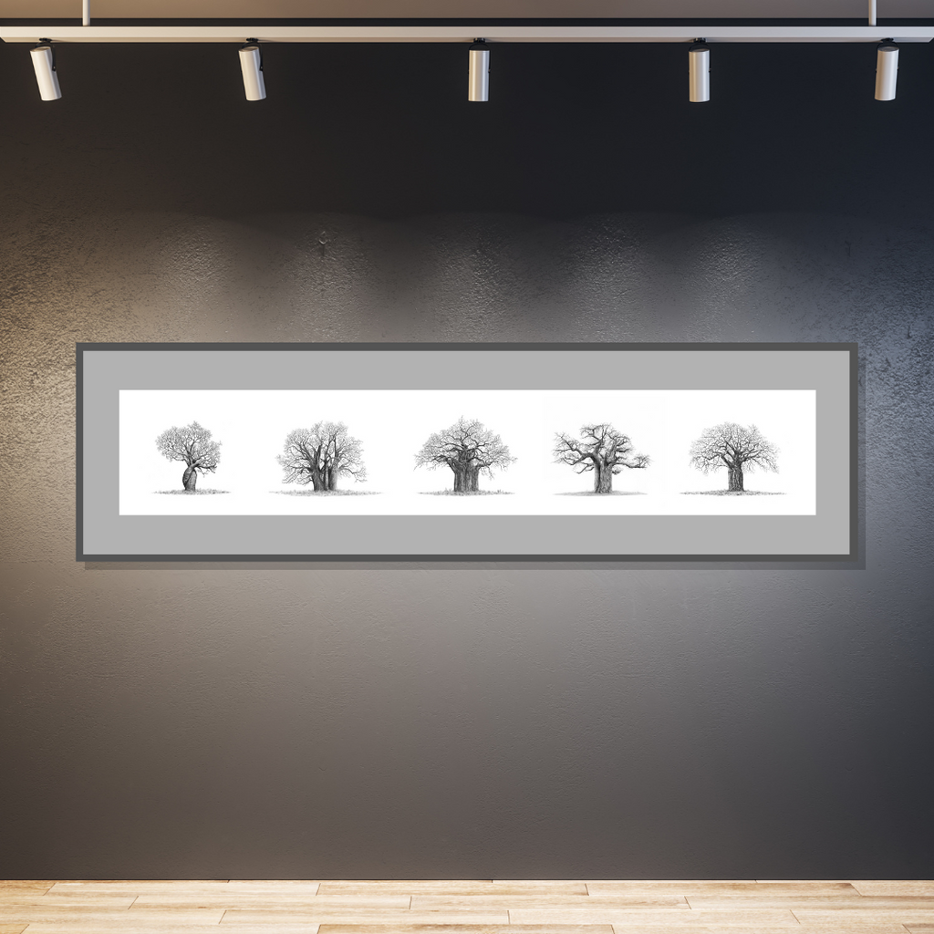 African Baobab Trees panorama poster by South African wildlife artist Matthew Bell