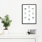Trees of south Africa poster art print