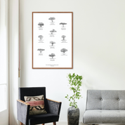 Trees of south Africa poster art print