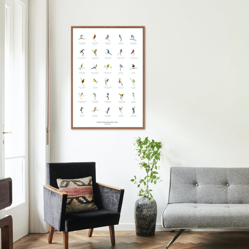A collection of birds from South Africa fine art poster print