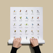 A collection of South African birds poster