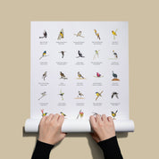A collection of South African birds poster