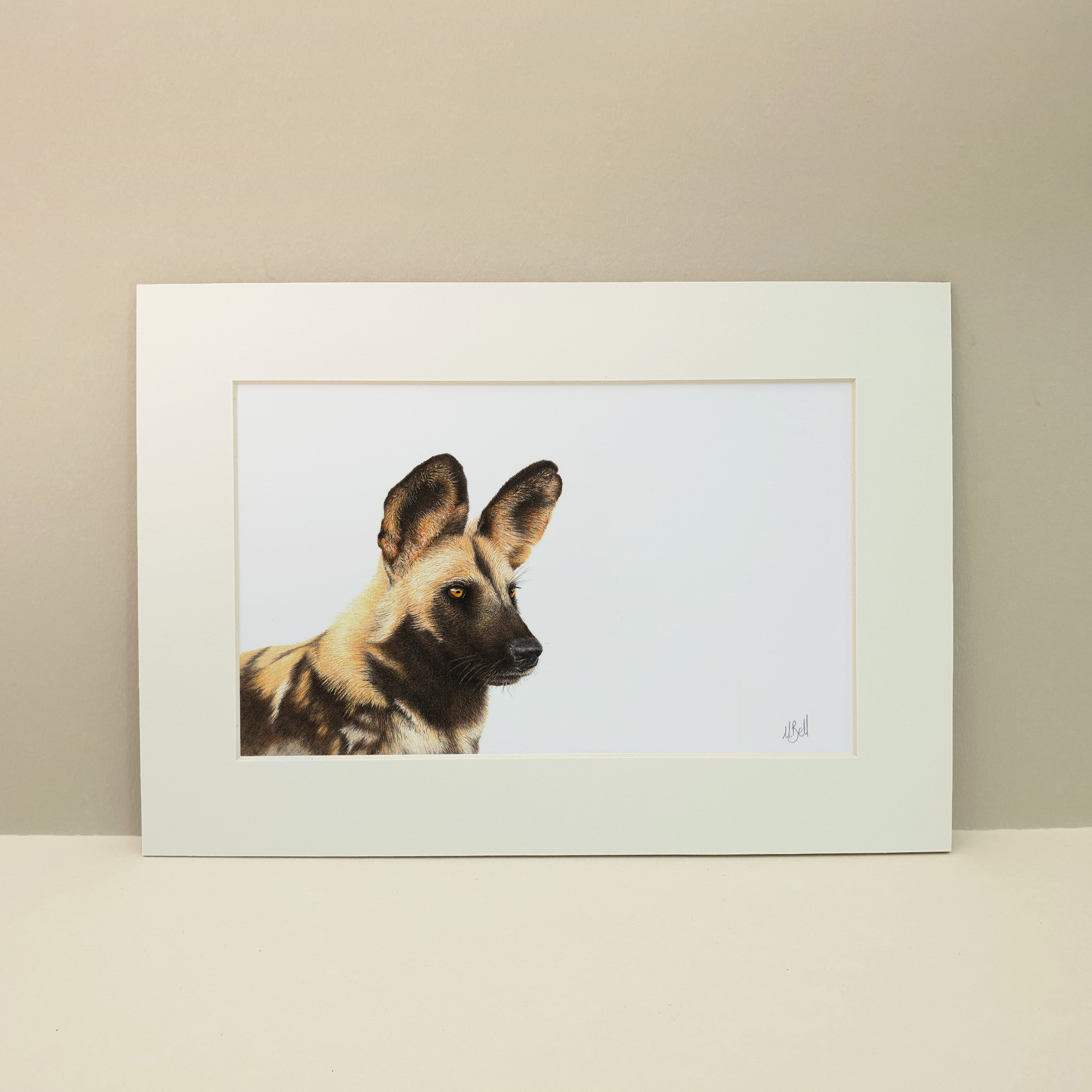 African Wild Dog pencil drawing artwork print