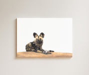 African Wild Dog drawing on canvas by South African wildlife artist Matthew Bell