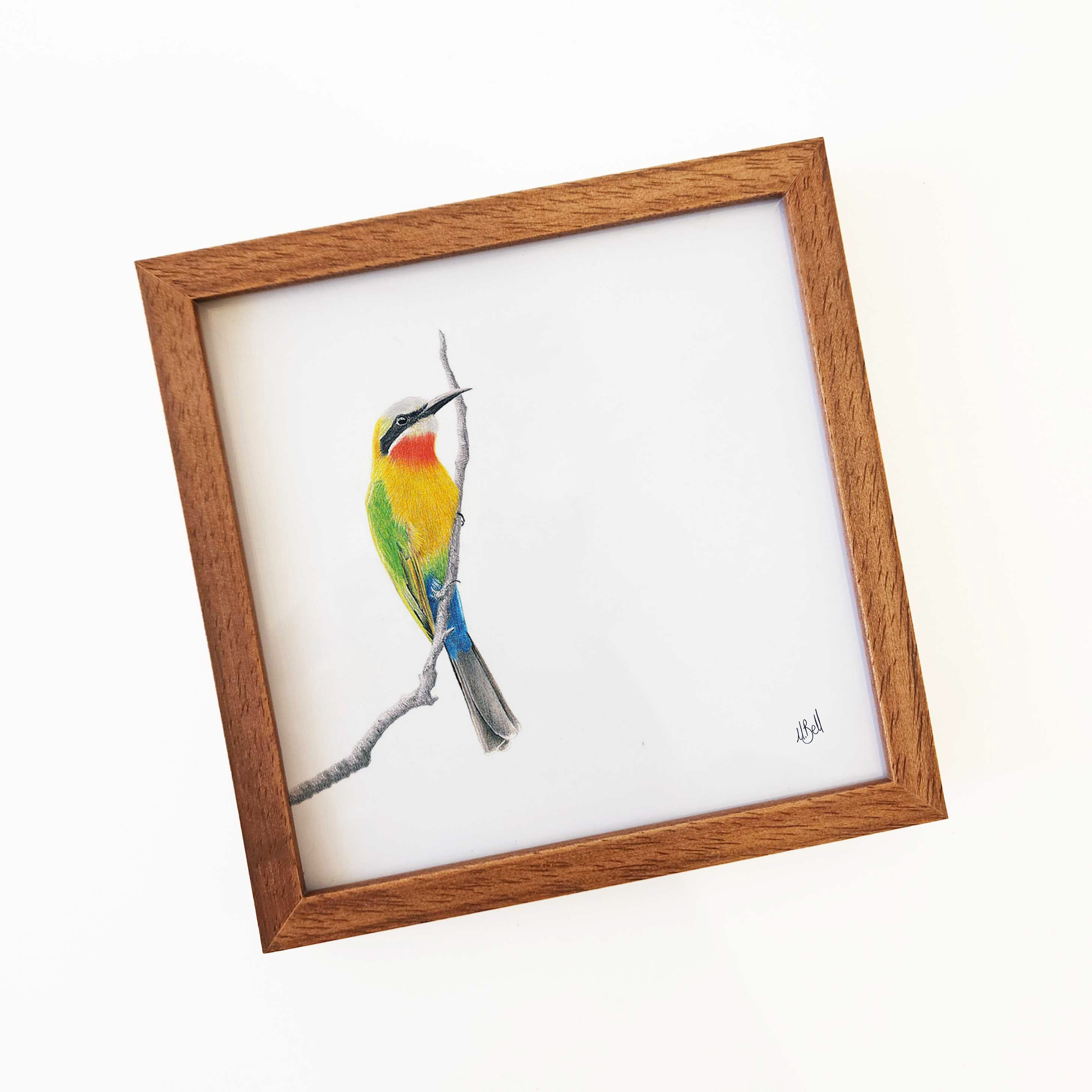 Kiaat wood framed miniature artwork of a White Fronted Bee Eater, part of wildlife artist Matthew Bell's birds of South Africa gallery