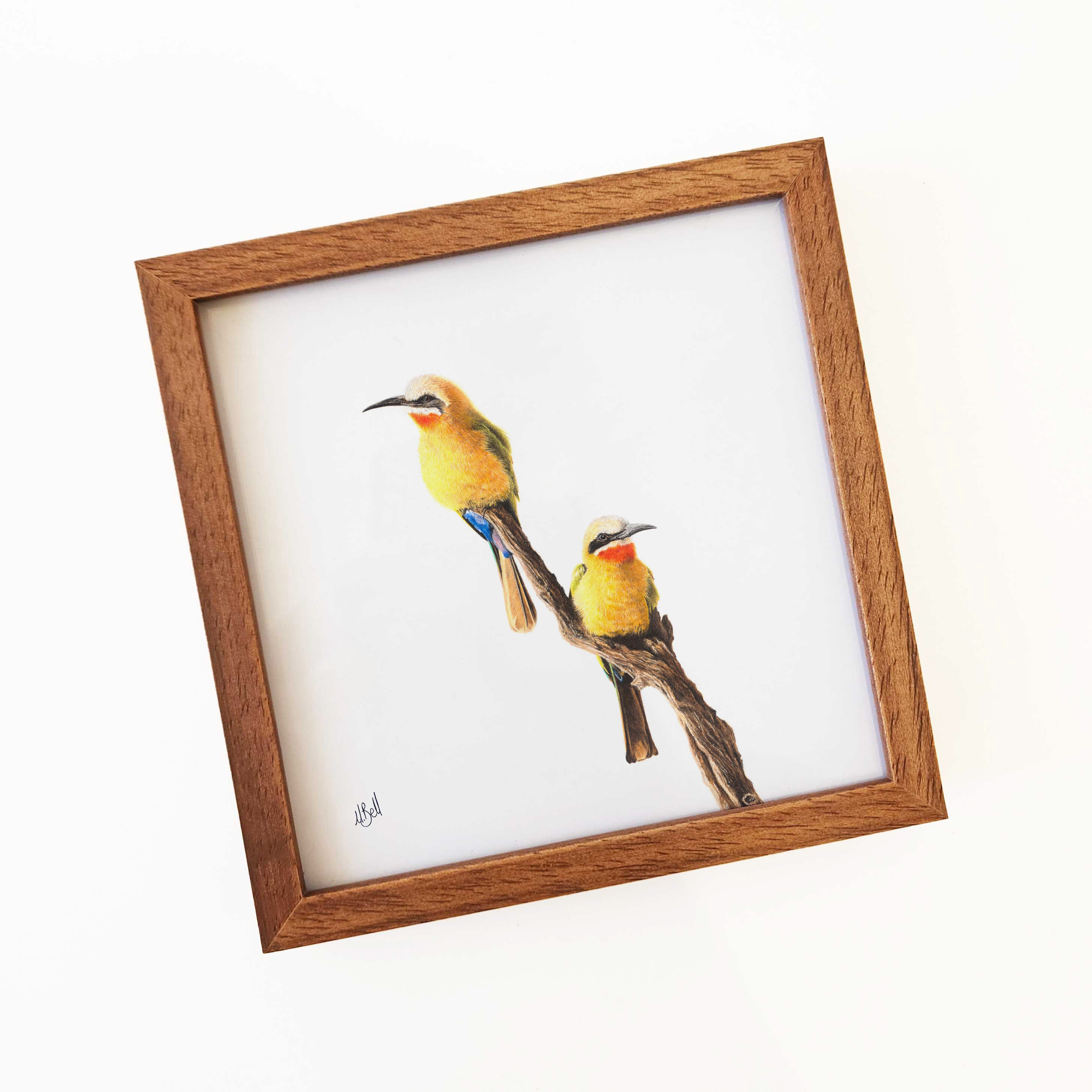 Kiaat wood framed miniature artwork of White Fronted Bee Eaters, part of wildlife artist Matthew Bell's birds of South Africa gallery