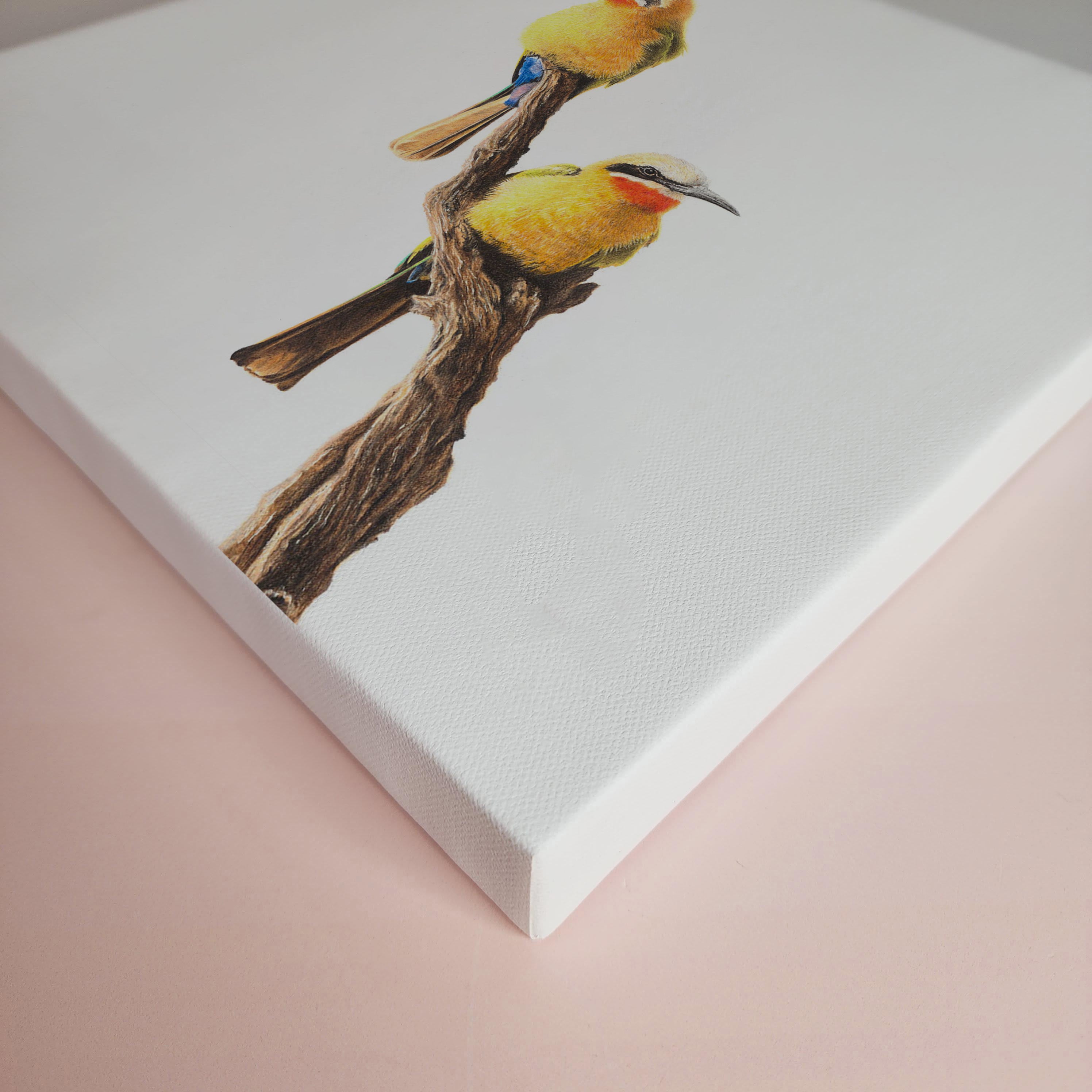 White Fronted Bee Eaters South African bird artwork stretched on canvas by wildlife artist Matthew Bell
