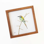 Kiaat wood framed miniature artwork of a White Throated Bee Eater, part of wildlife artist Matthew Bell's birds of South Africa gallery