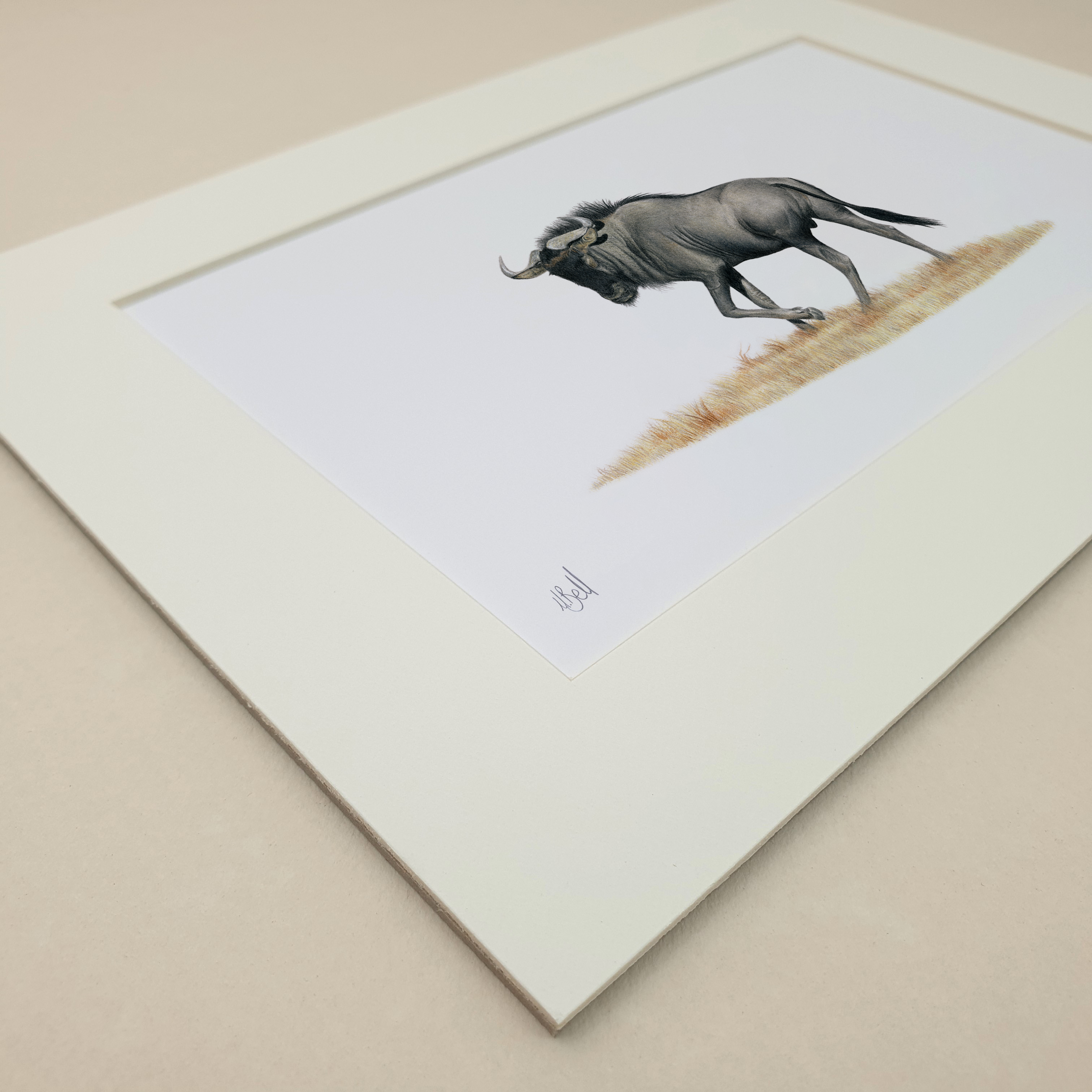 Wildebeest animal drawing with pencils by Matthew Bell