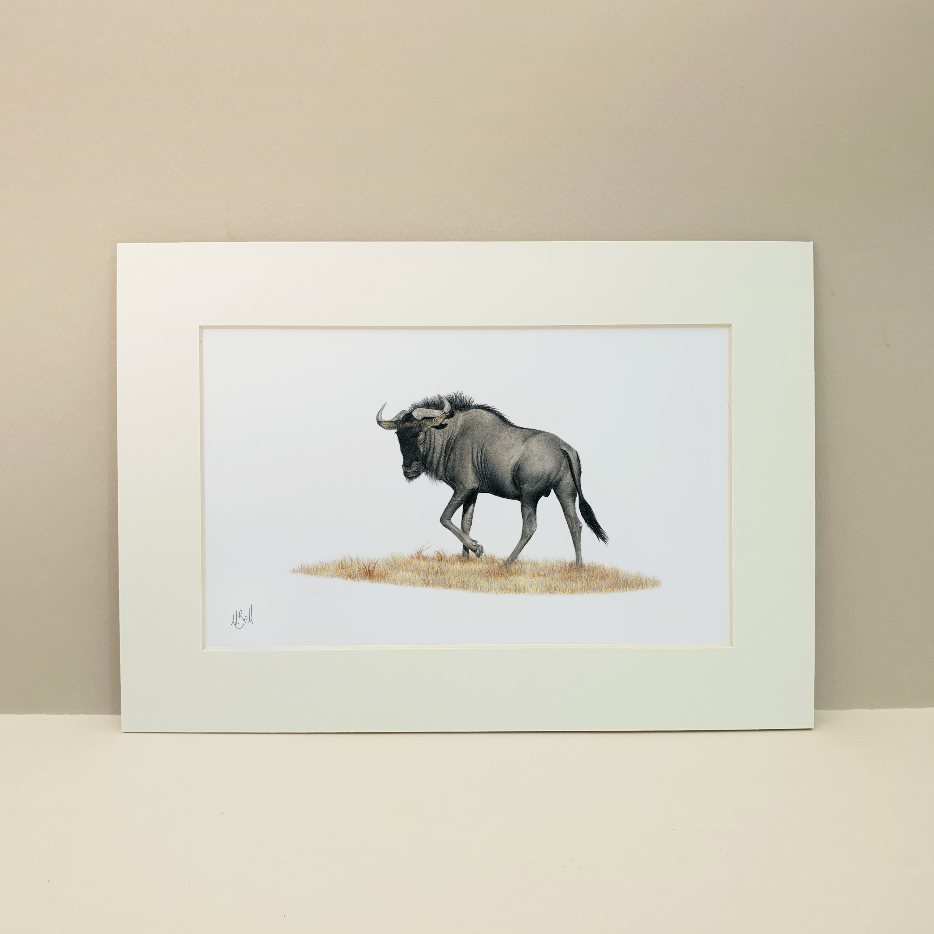 Wildebeest animal drawing with pencils by Matthew Bell