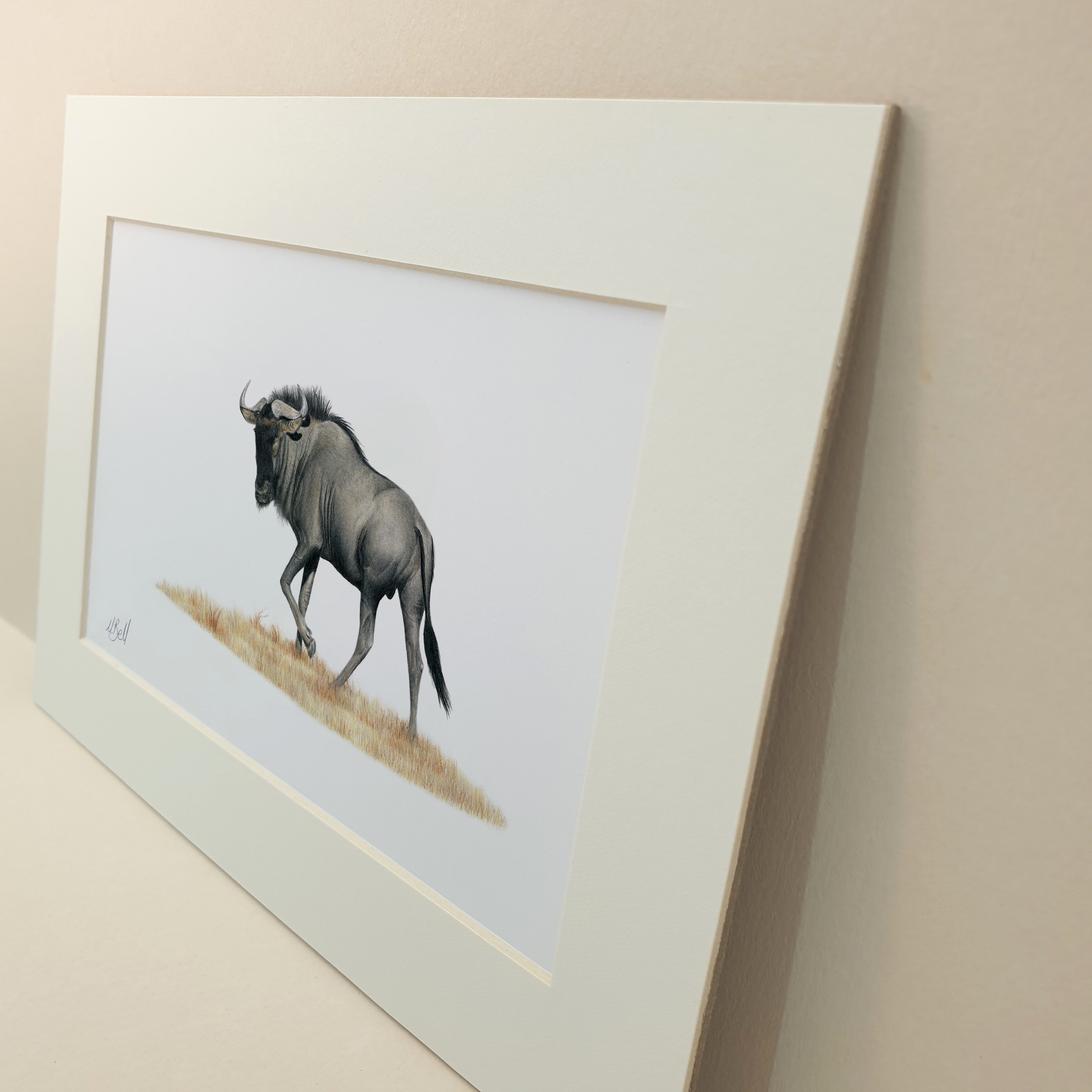 Wildebeest animal drawing with pencils by Matthew Bell