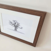 African Baobab Tree framed artwork with dark wood frame by wildlife artist Matthew Bell