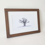 African Baobab Tree framed artwork with dark wood frame by wildlife artist Matthew Bell