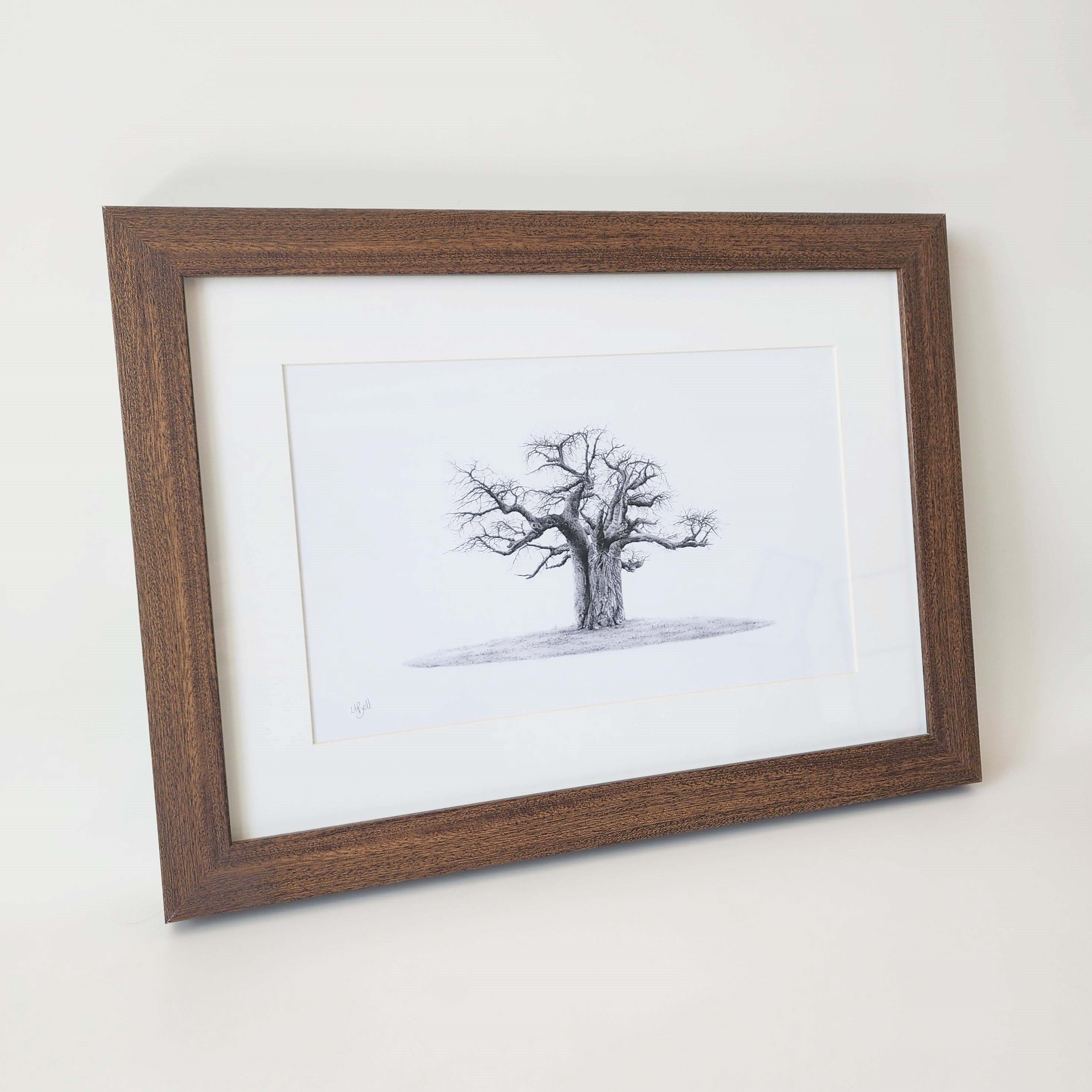 African Baobab Tree framed artwork with dark wood frame by wildlife artist Matthew Bell