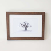African Baobab Tree framed artwork with dark wood frame by wildlife artist Matthew Bell