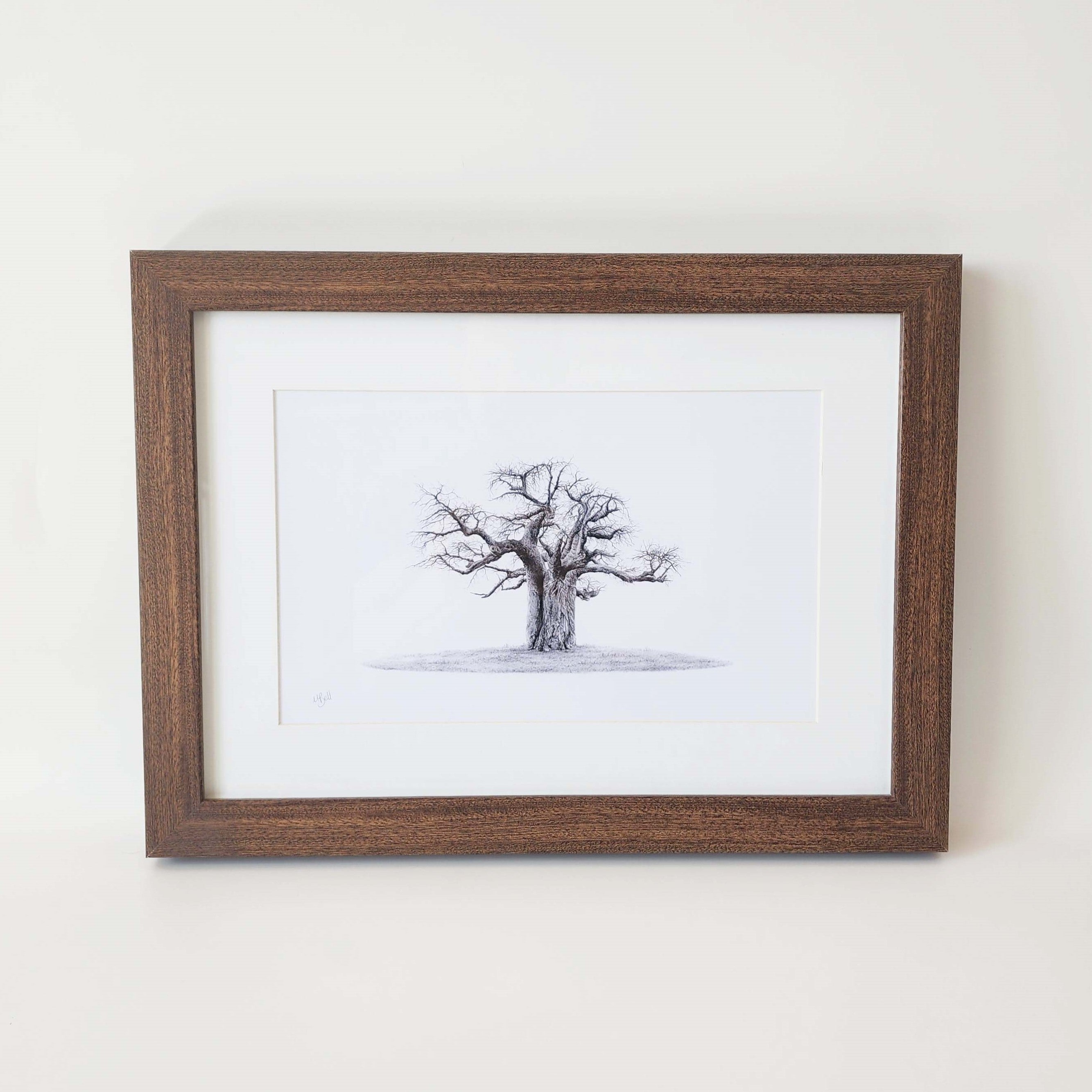 African Baobab Tree framed artwork with dark wood frame by wildlife artist Matthew Bell