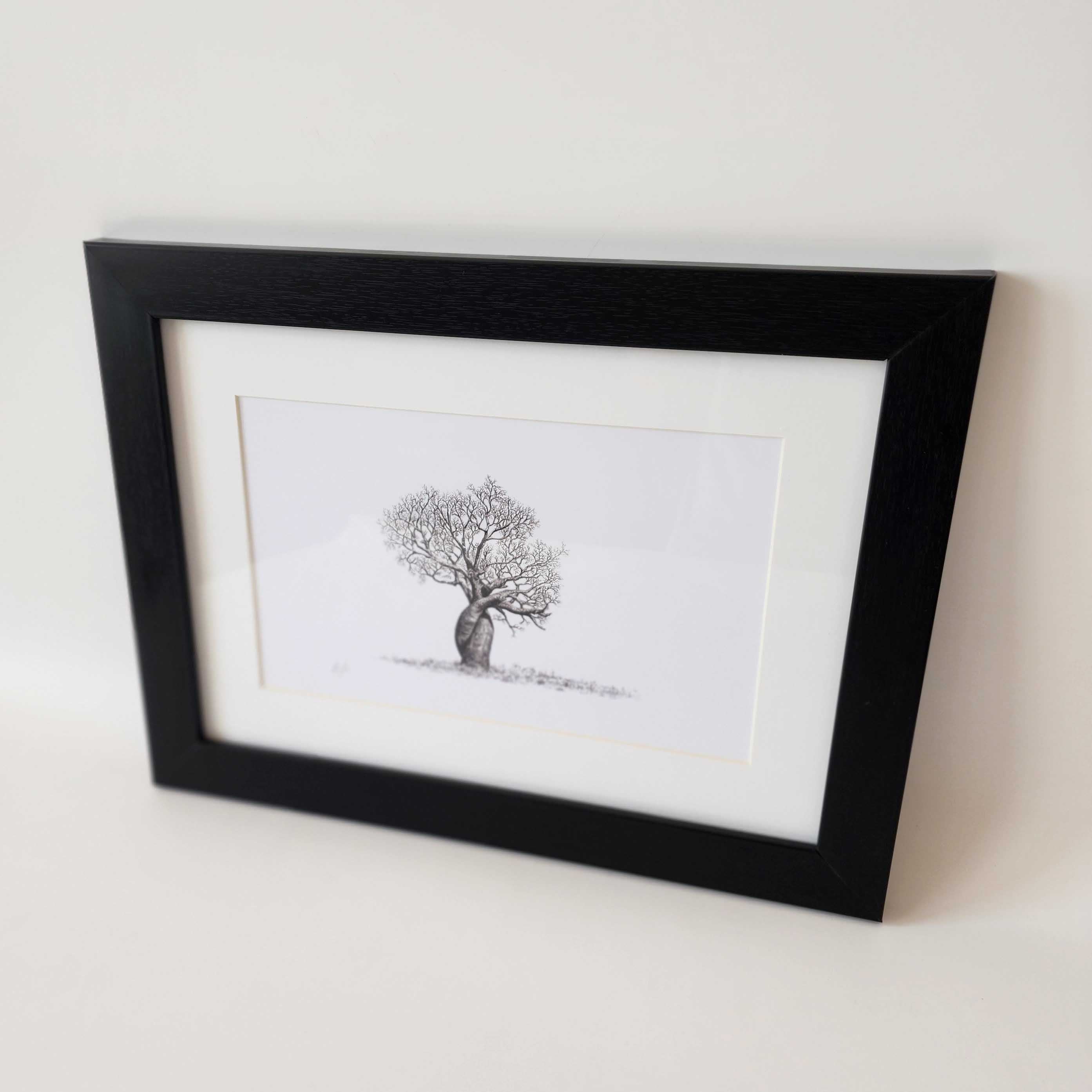 Framed artwork print of an African Baobab Tree pencil drawing by wildlife artist Matthew Bell