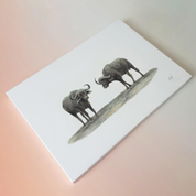 Buffalo pencil artwork on canvas print by wildlife artist Matthew Bell