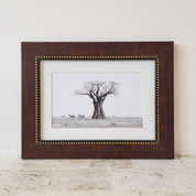 Artwork of an African Baobab Tree and Zebras with a wooden frame, by famous wildlife nature artist Matthew Bell