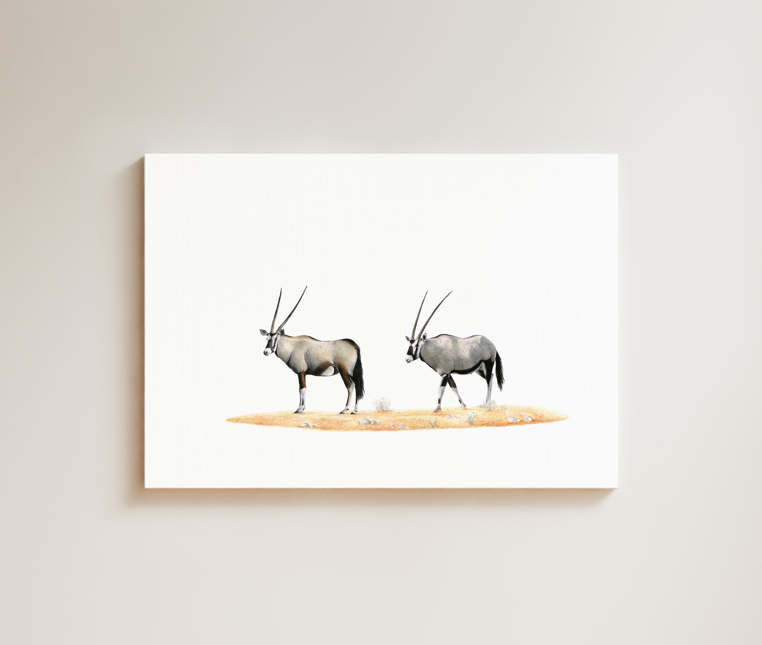 Gemsbok Pair (GBK2) on Canvas