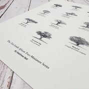Trees of south Africa poster art print