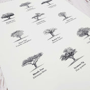 Trees of south Africa poster art print