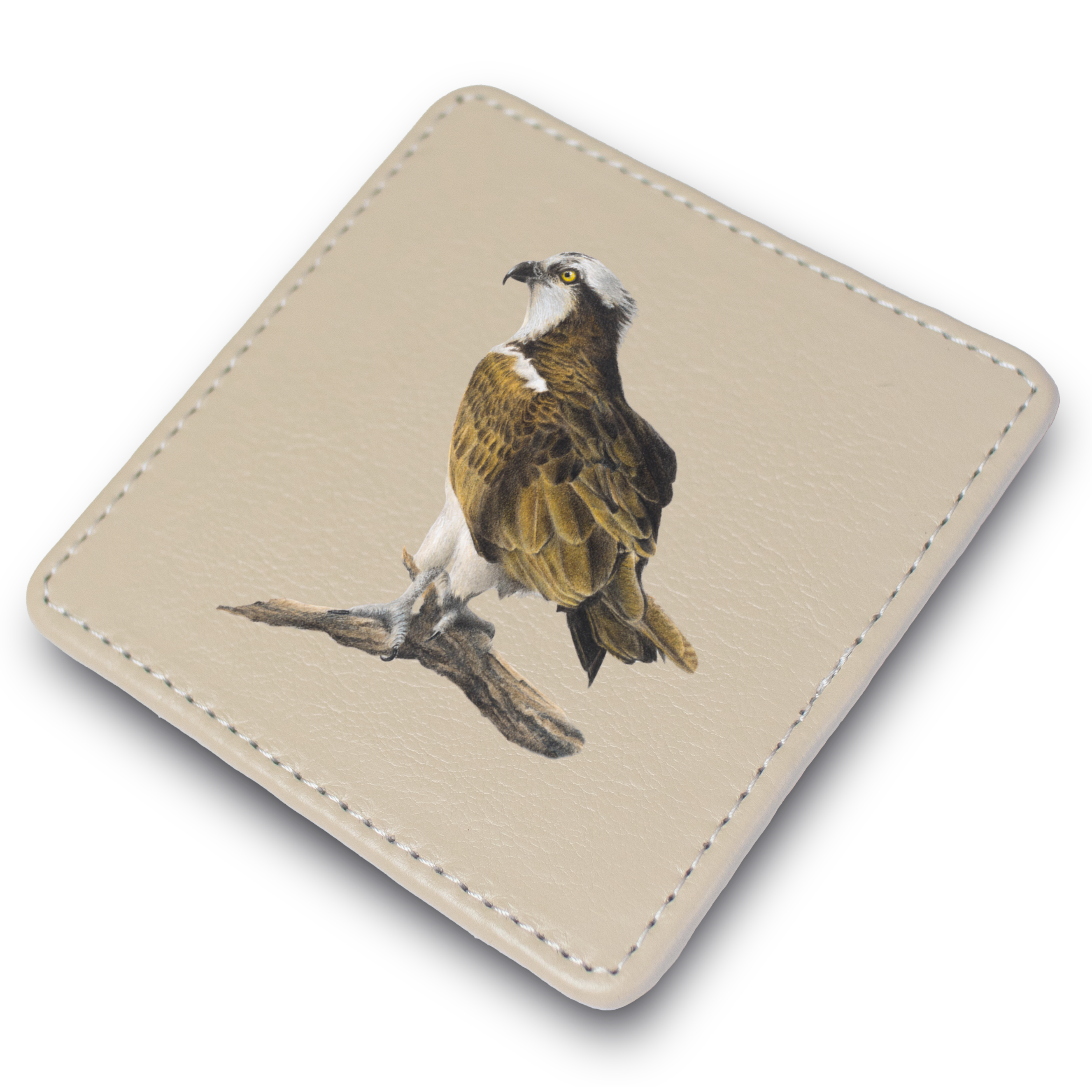 Osprey Leather Coaster
