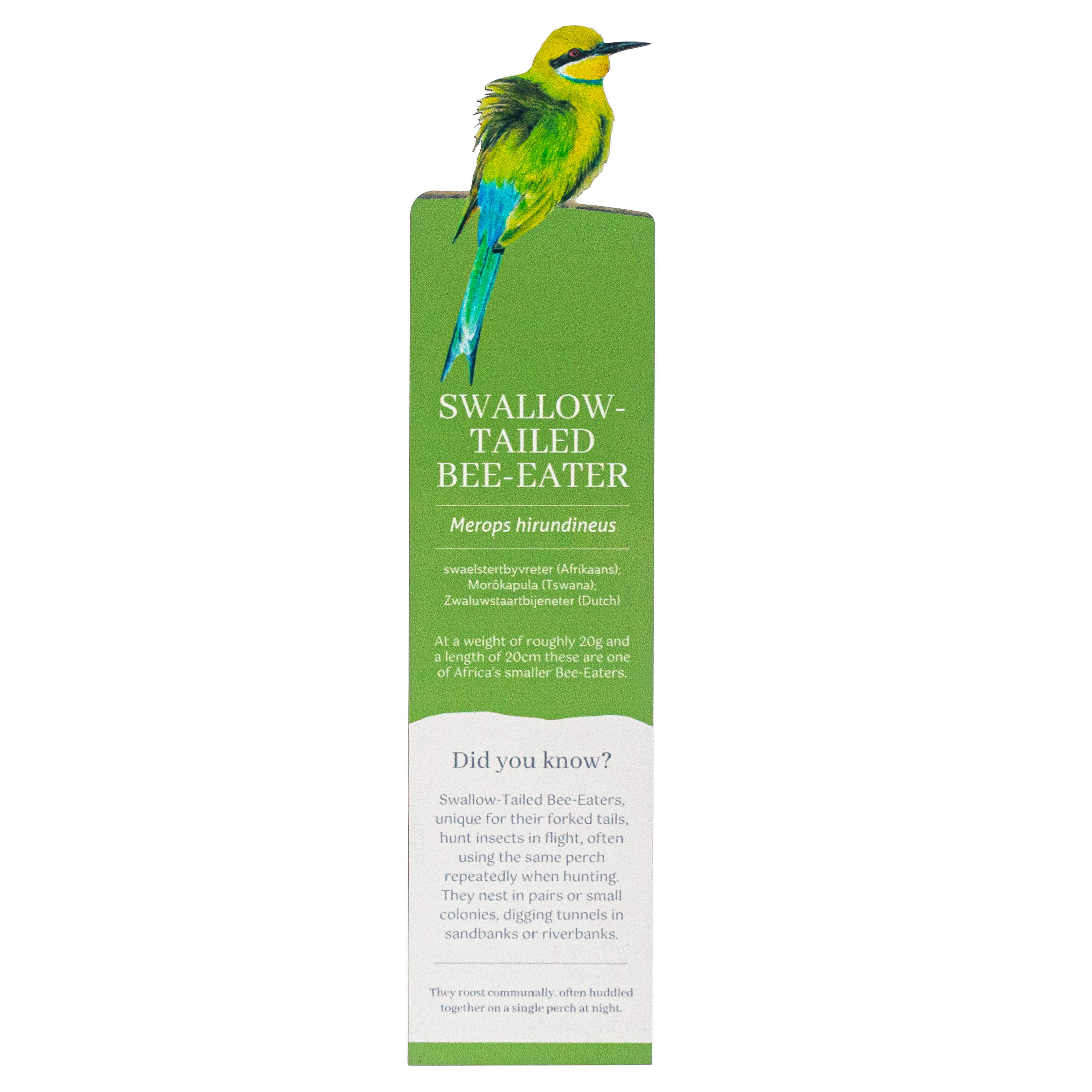 Swallow Tailed Bee Eater Wooden Bookmark