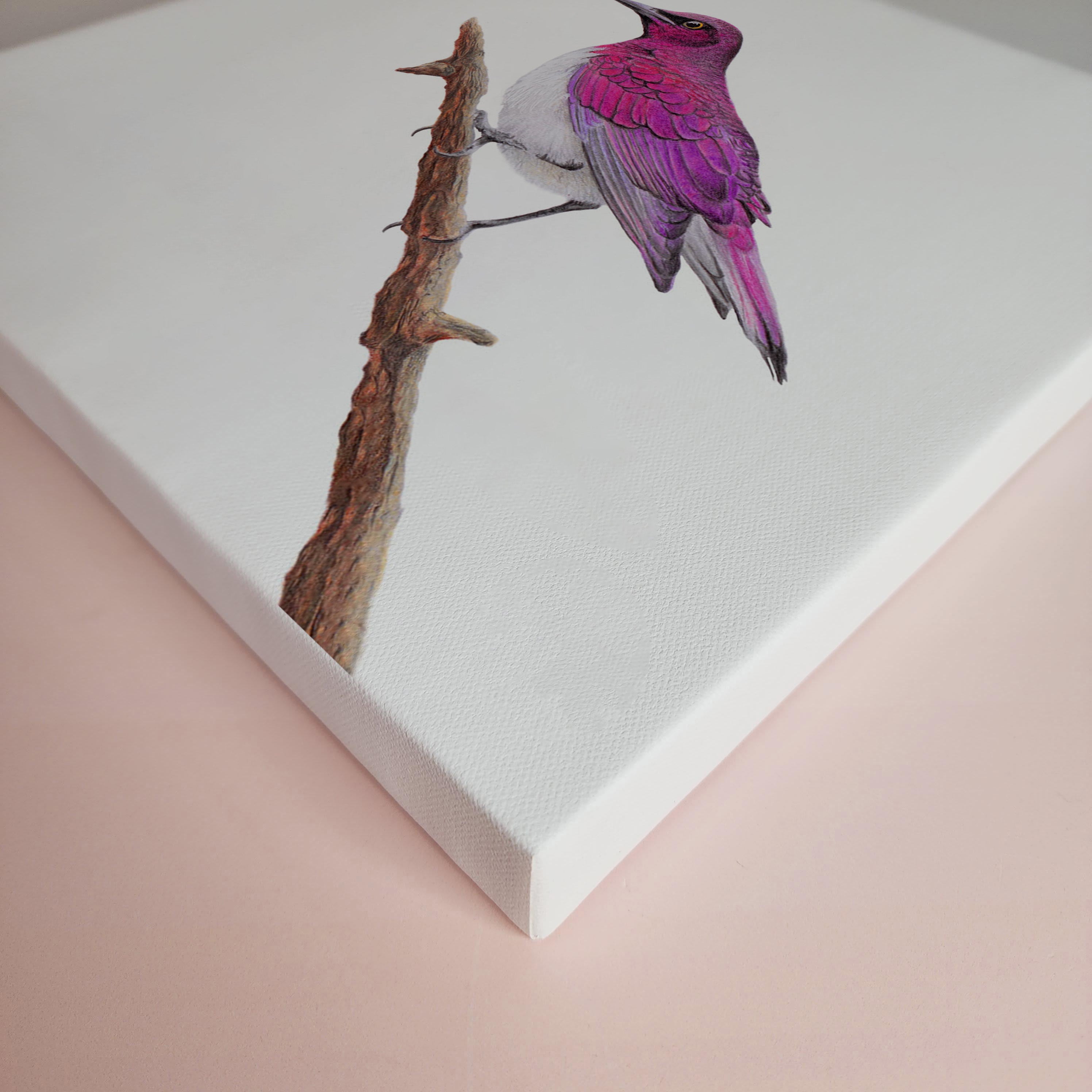 Violet Backed Starling bird artwork on canvas frame