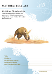 Aardvark 2 - The Original - Framed