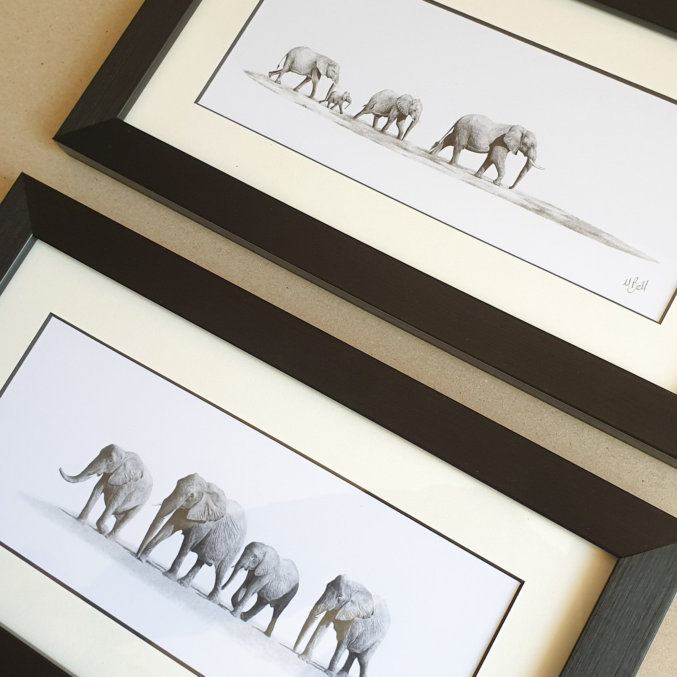 Elephant herd drawings with a frame by Matthew Bell