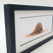 Pencil drawing of a pangolin with a black wooden frame