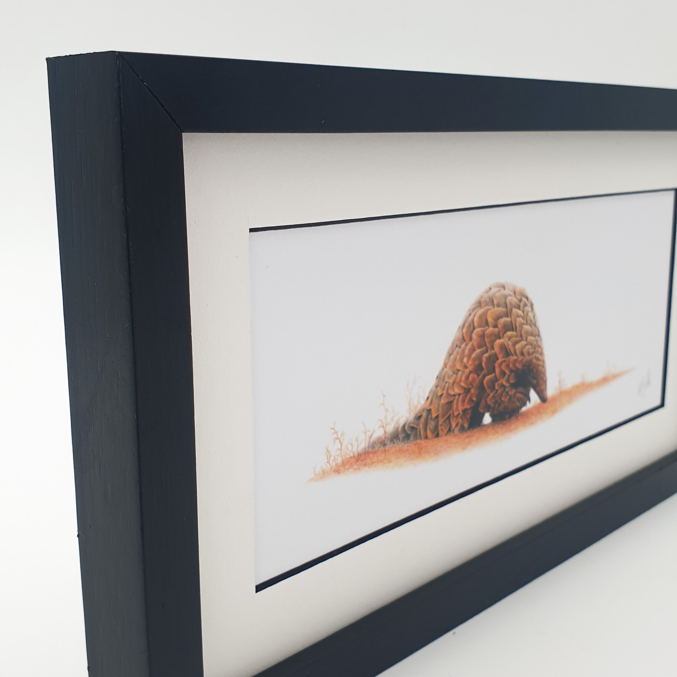 Pencil drawing of a pangolin with a black wooden frame