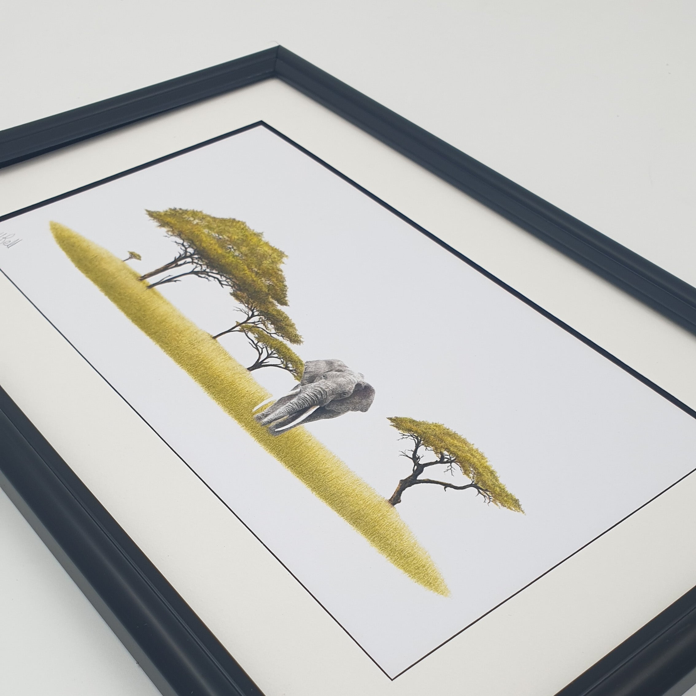 Elephant and acacia trees pencil drawing with a black frame