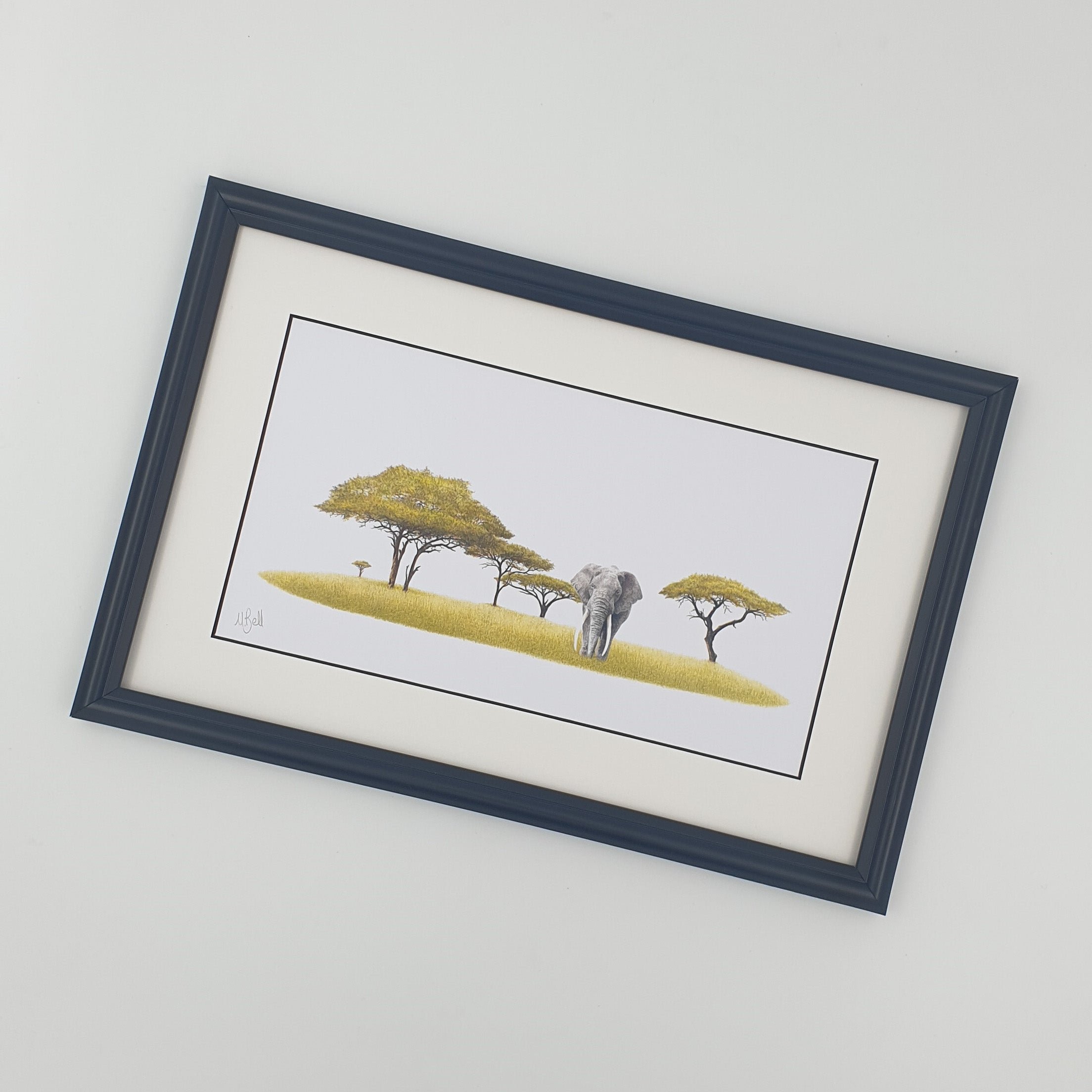 Elephant and acacia trees pencil drawing with a black frame