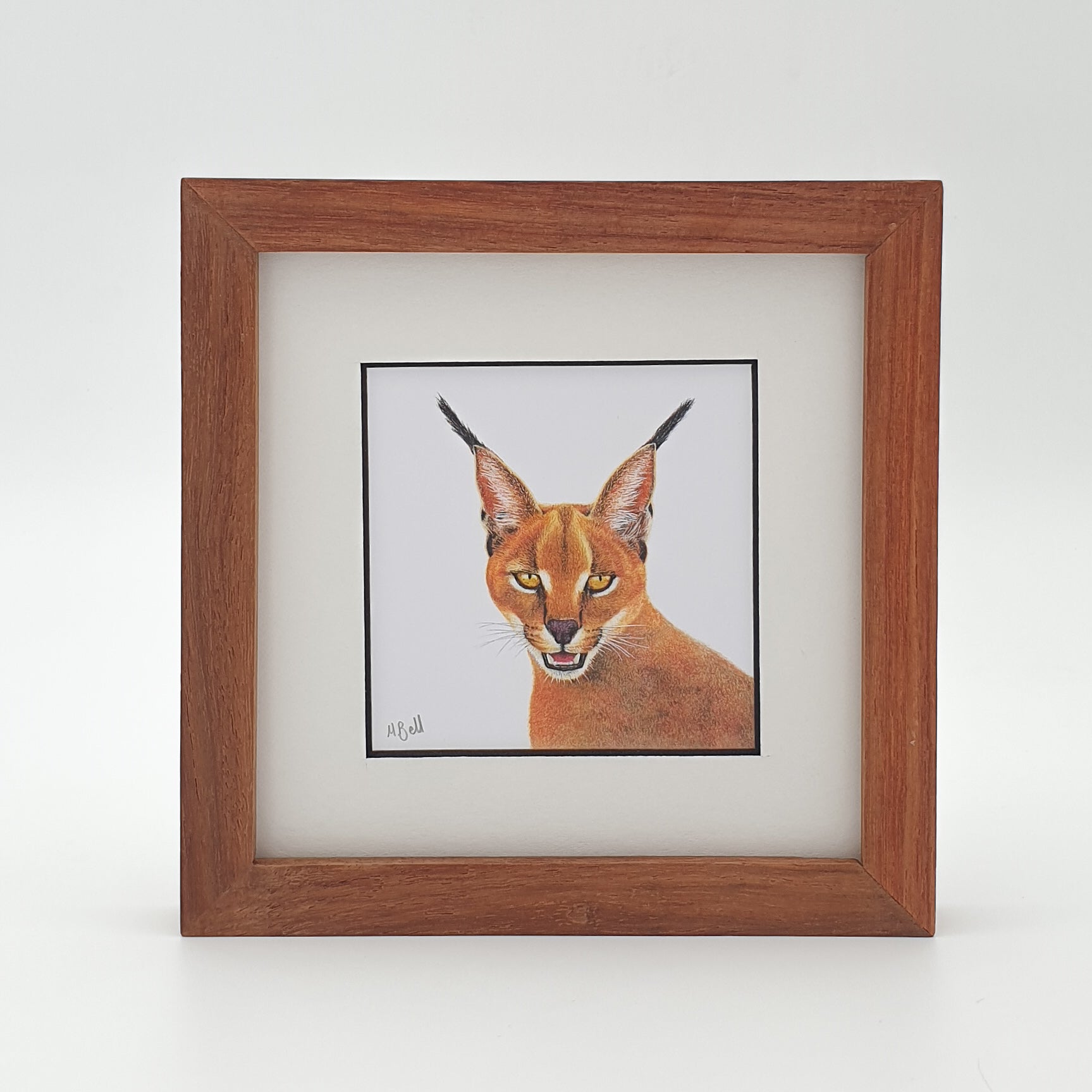 Caracal wildlife drawing with a wooden Kiaat frame