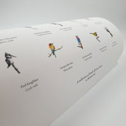 A Collection of South African Birds poster artwork