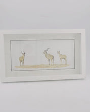 Kudus 2 - The Original - Framed