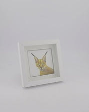 Caracal - The Original - Framed